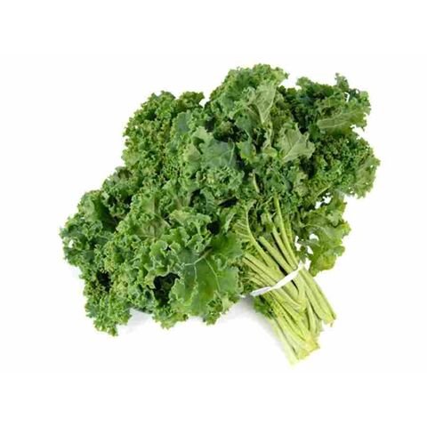 Chomolia
